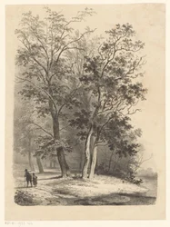 Due figure che passeggiano in un bosco