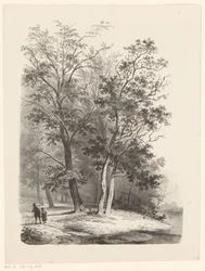 Due figure che passeggiano in un bosco