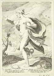 Il senso del tatto