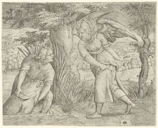 Tobia e il pesce