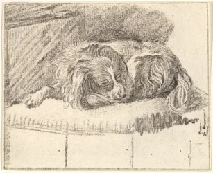 Cane che dorme, 1777