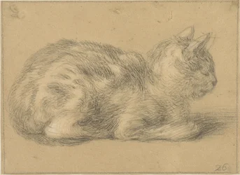 Gatto seduto, verso destra