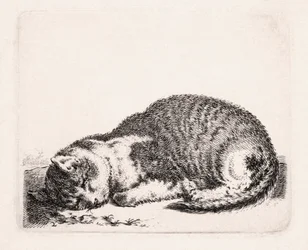 Gatto che dorme, c.1607-81