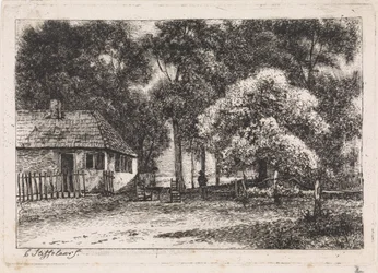 Casa tra gli alberi