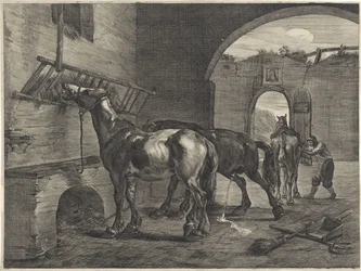 Stalla dei cavalli