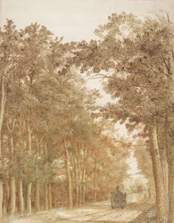Sentiero attraverso una foresta