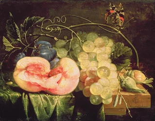 Natura Morta con Frutta, XVII secolo