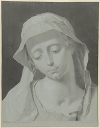 Testa di una donna velata