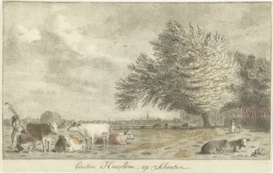 Mucche in un prato