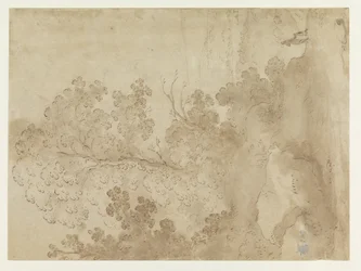 Paesaggio collinare con alberi