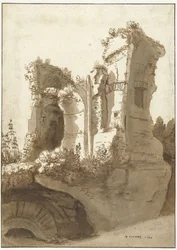 Rovina del cosiddetto Palazzo Maggiore sul Palatino