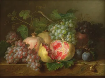 Natura morta di melograni, uva e prugne su un ripiano di marmo (pannello)