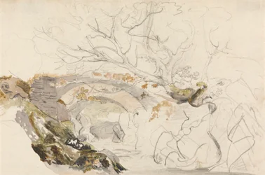 Ponte e alberi