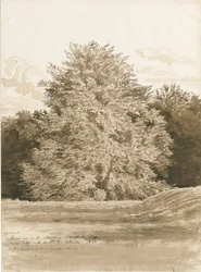 Wrottesley Hall - Il giardino
