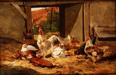 Galline in un Fienile