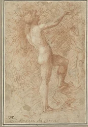 Adamo coglie la mela dall