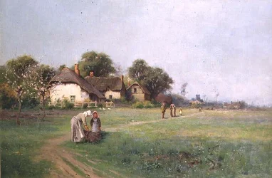 Raccolta di legna da ardere