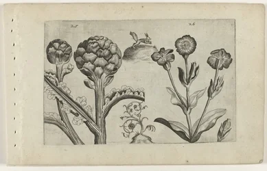 Carciofo e cardo