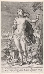 Sera