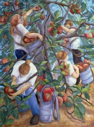 Raccoglitori di mele, 1996