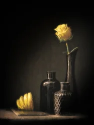 Elegante rosa e limone