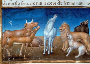 La fine del mondo: E le stelle cadranno dal cielo e gli animali avranno paura