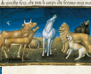 “Le stelle cadranno dal cielo davanti agli occhi degli animali” (miniatura) Miniatura di Cristoforo De Predis (1440-1486)