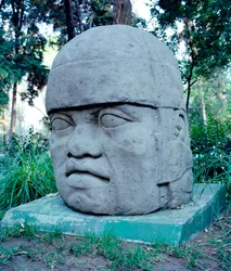 Civiltà precolombiana: testa colossale olmeca. X-VII secolo a.C. Messico. Parco Museo di La Venta