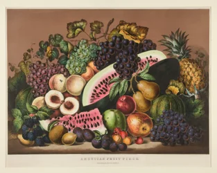 Frutta americana; Tavola CCLXXXI