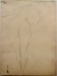 Nudo femminile di schiena