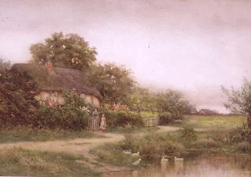 Lo stagno delle anatre
