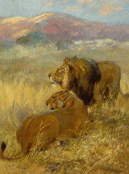 Un leone e una leonessa che proteggono il loro territorio (olio su tavola)