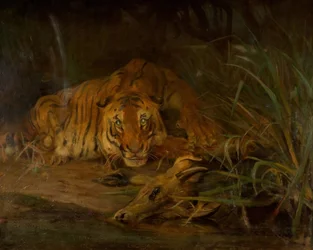 Tigre e Preda, 1931