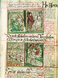 Come curare le malattie, da Tractatus de Pestilencia