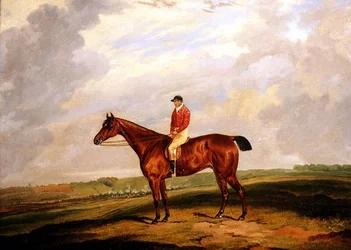 Cavallo da corsa con fantino