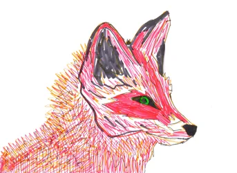 Volpe (punta di feltro su carta)