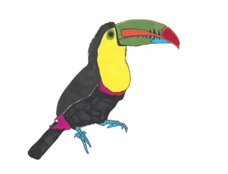 Tucano, 2024 (penna su carta con Photoshop)