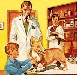 Clinica del dispensario popolare per animali malati