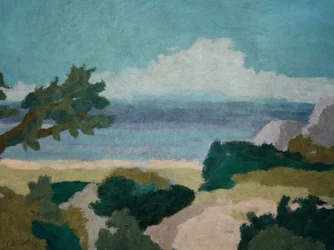 Vista sulla scogliera