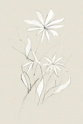 Fiore di campagna