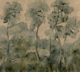La foresta dimenticata