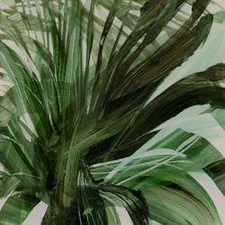 Palme