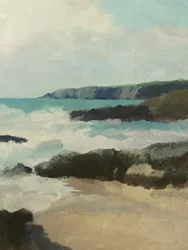 Spiaggia rocciosa