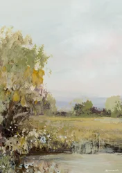 Il tempo passa