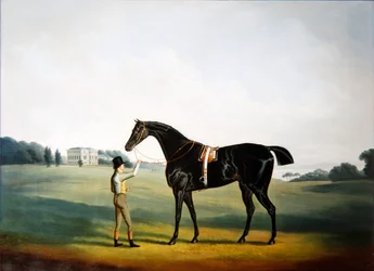 Un cavallo e un groom nei giardini di Hooton Hall, Cheshire