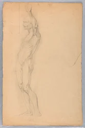 Disegno, studio anatomico di maschio, 1850 ca.