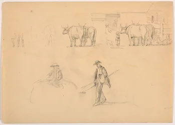 Disegno, aia; figure e buoi, 1878