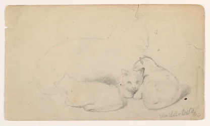 Disegno, Gatto e tre gattini; verso: Uomo arabo seduto che riceve un uomo, forse da David Roberts, 1844