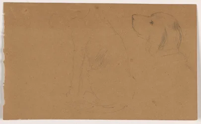 Disegno, Dash (un Setter), testa e corpo, 1862 ca.