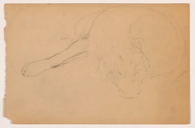 Disegno, Miol (un pointer), 1862 ca.